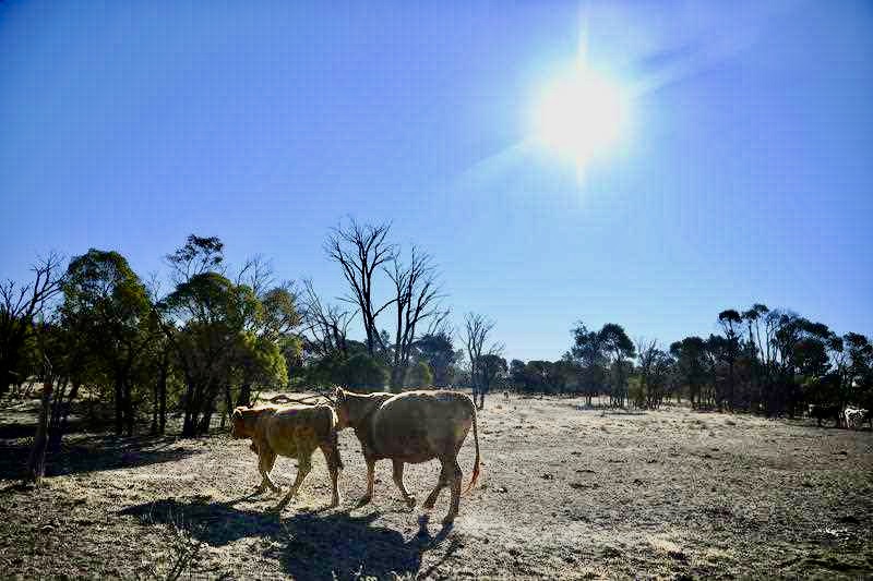 20180823001358338647-minihighres 2