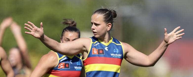 20240915117338503856-minihighres 2