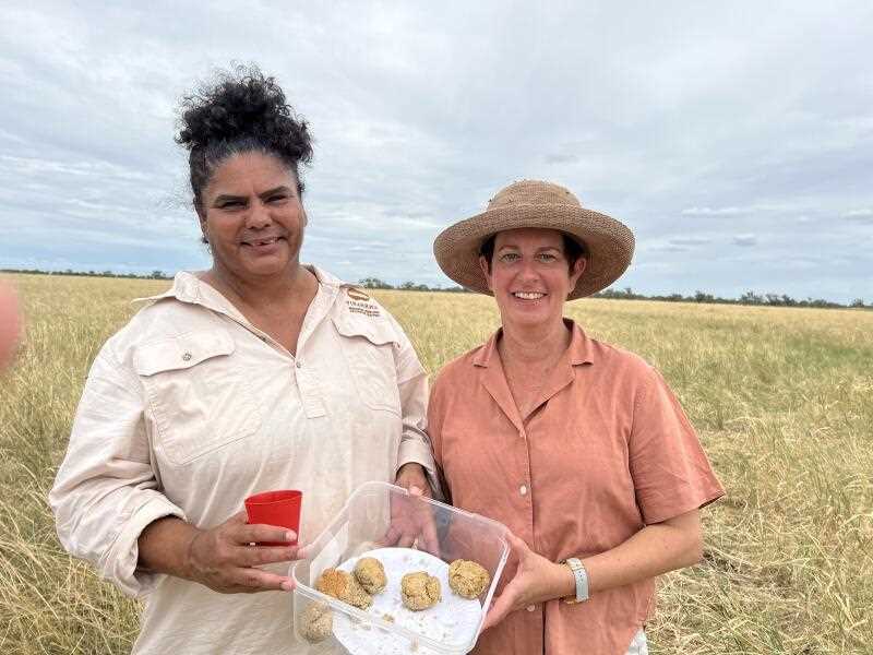 20251210121843386533-minihighres