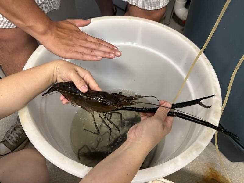 20260116115707898290-minihighres