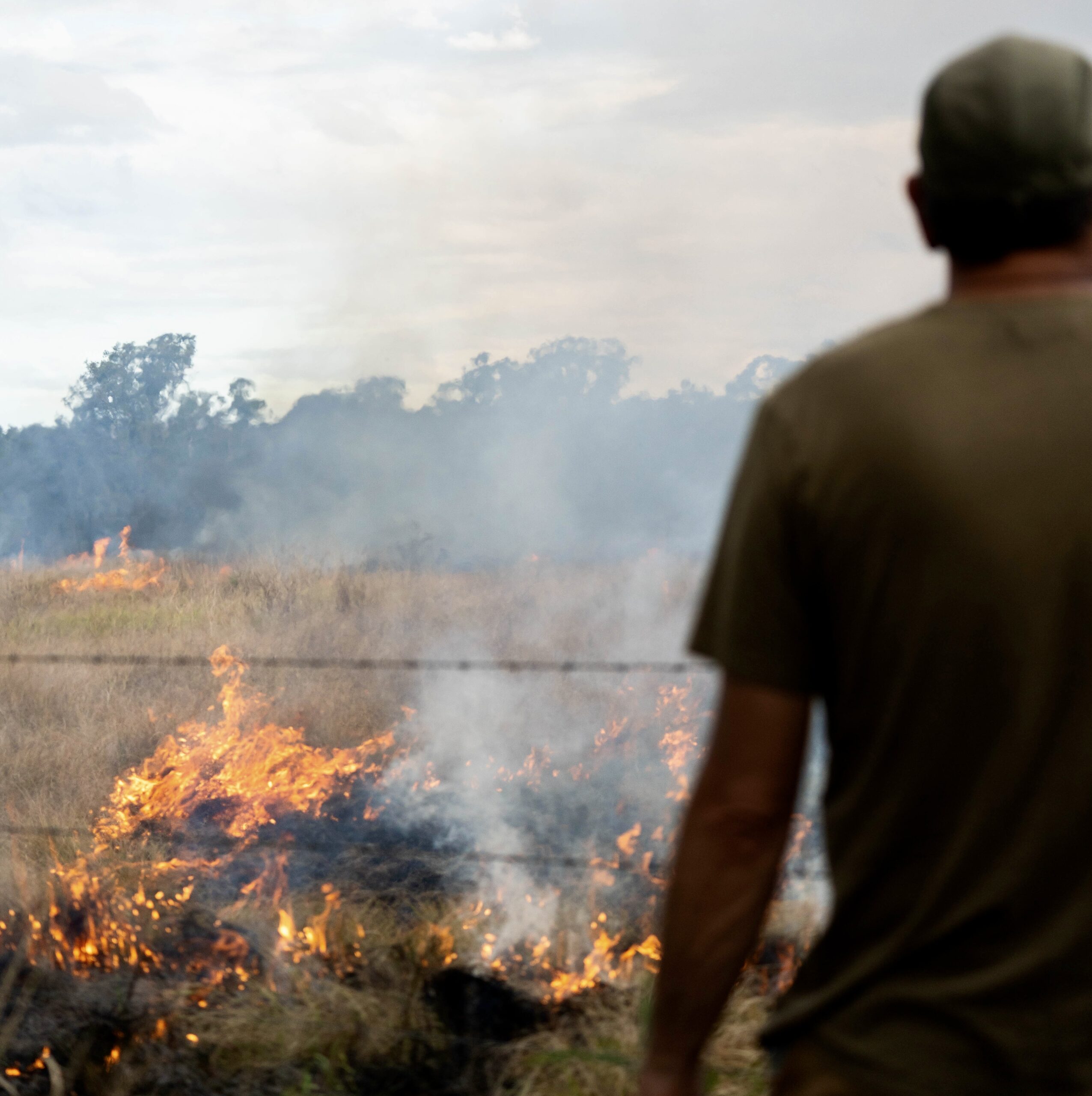 BunyaMountains-Wakka-Wakka-Country-Bella-Laifoo-2 2