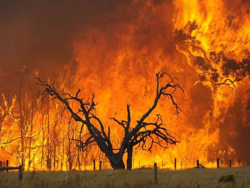 r0_0_800_600_w1200_h678_fmax