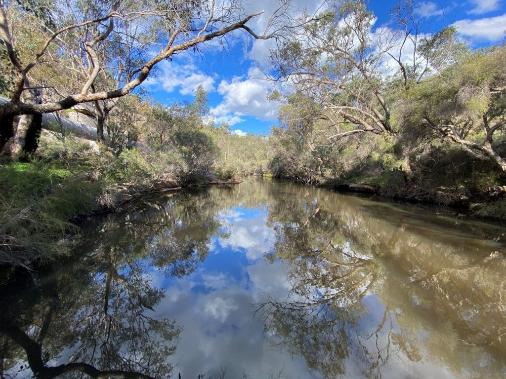 IMG_9091_reduced-1024×768